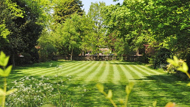 Top 10 Easy Ways to Maintain a Healthy Lawn